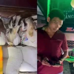 荷物室でヤギを運んだとして摘発された寝台バス運転手