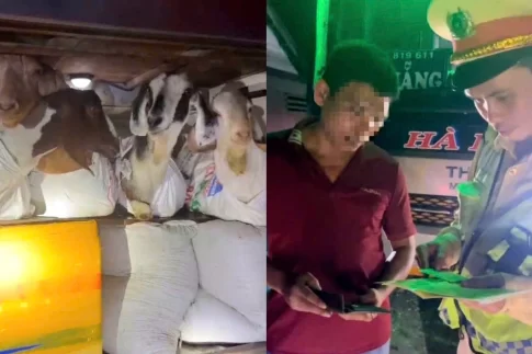 荷物室でヤギを運んだとして摘発された寝台バス運転手