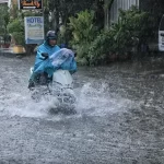 ホーチミン市内の冠水した道路を走るバイク