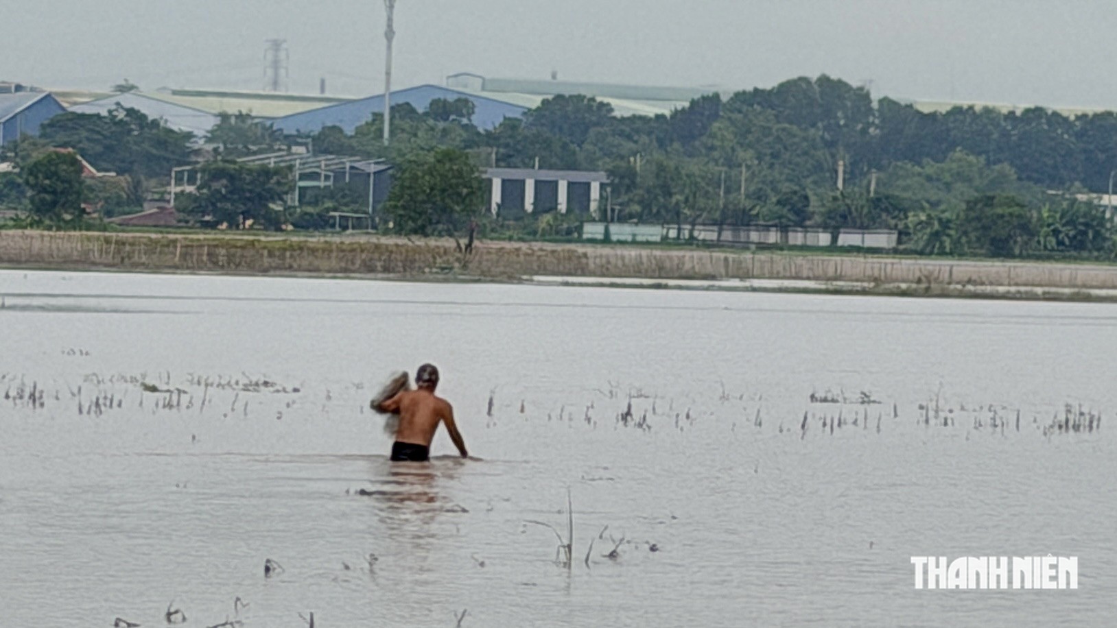 ホーチミン市の浸水した農地で魚を獲る住民