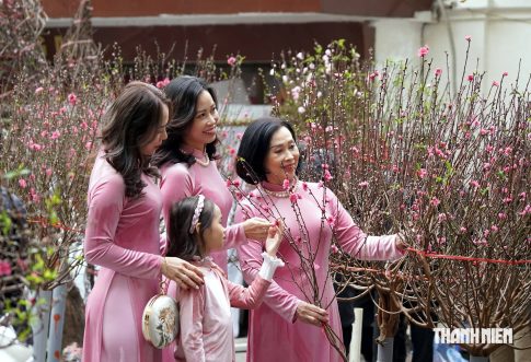 テトに飾る花を選ぶベトナム人女性たち
