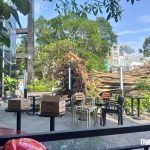ホーチミン市内で倒壊した街路樹